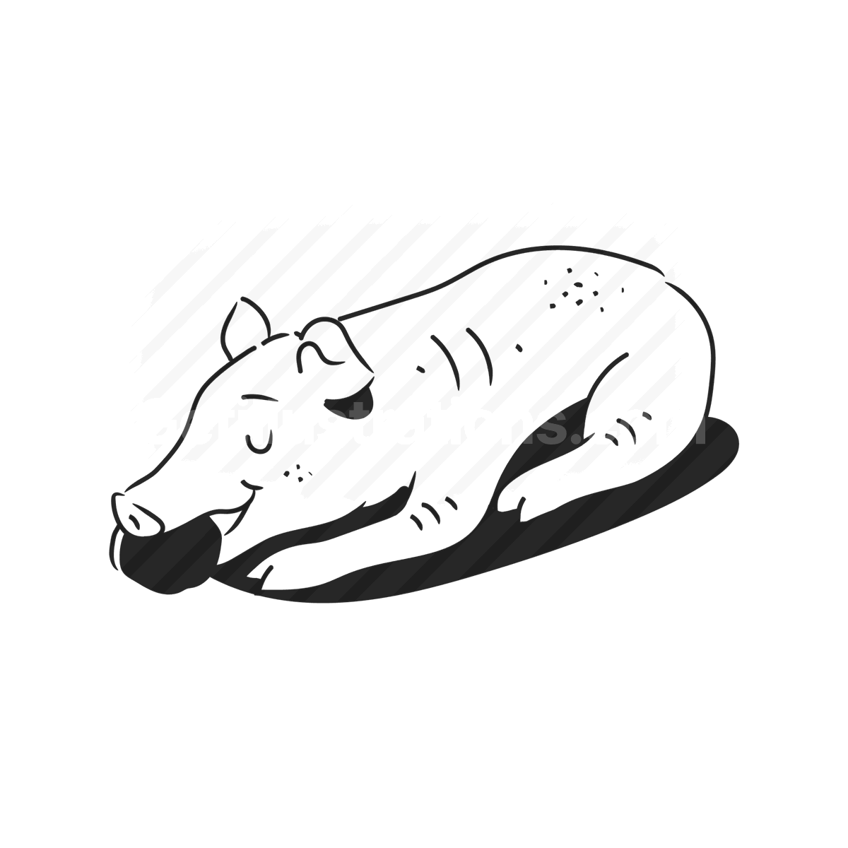 Animals and pets illustration preview image